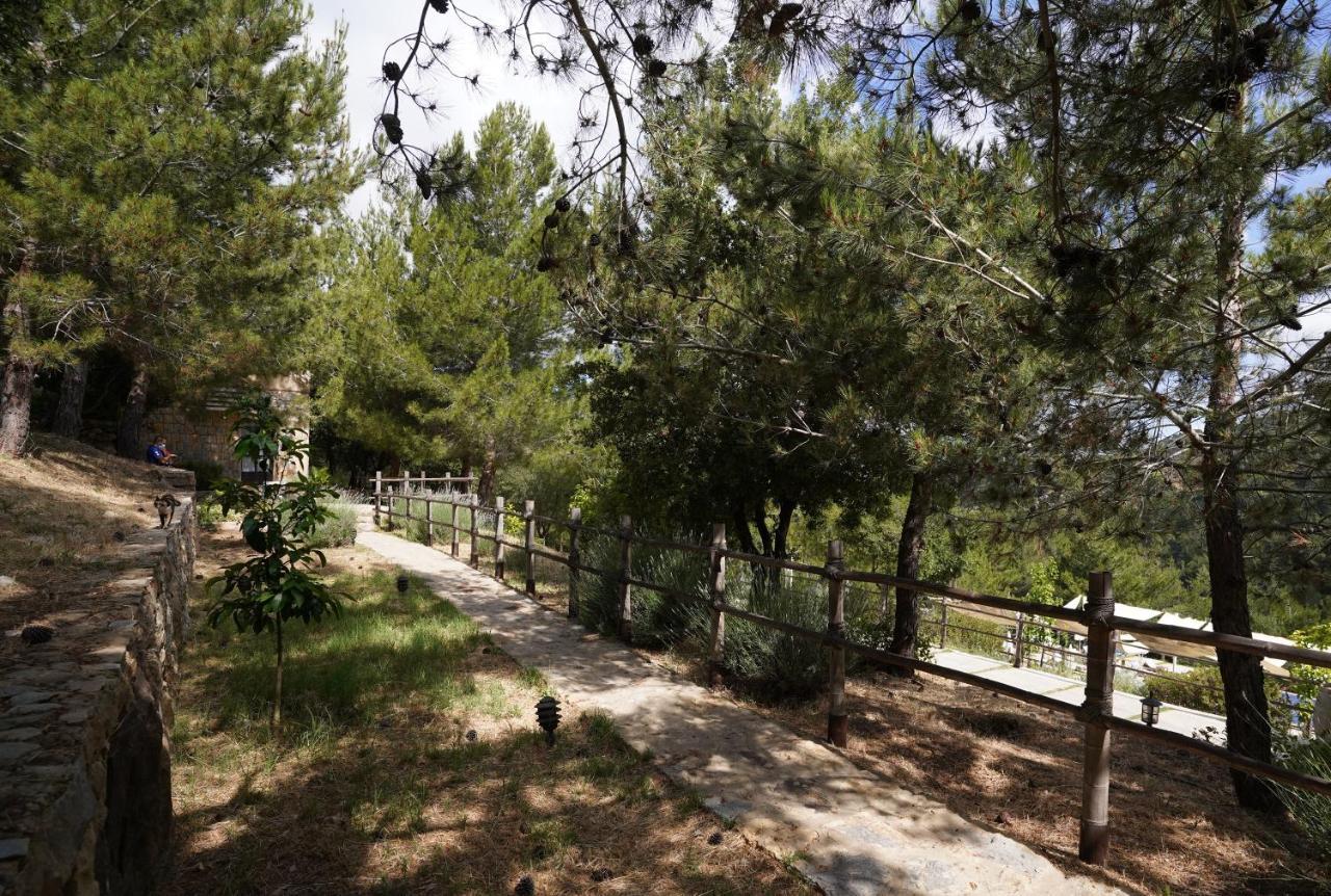 Blue Jay Valley Jezzine Exterior photo