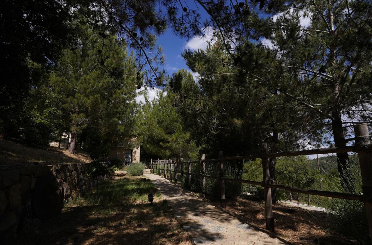 Blue Jay Valley Jezzine Exterior photo